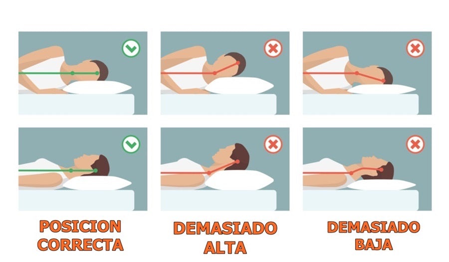 ALMOHADA VISCO ELASTICA